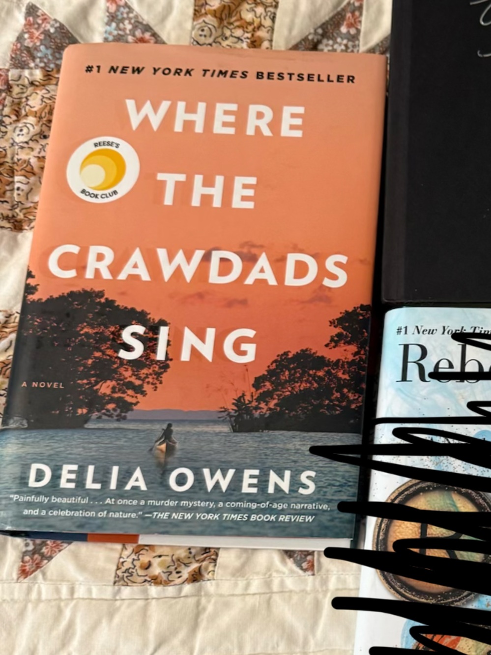 Where the Crawdads sing